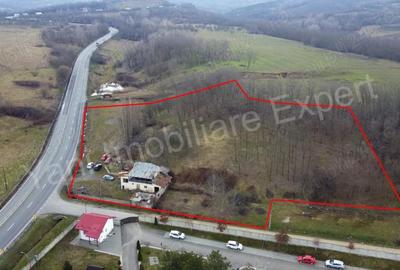 Teren de 10141 mp, în Dedulești - 4