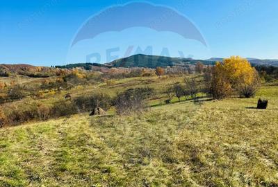 Teren de 5325 mp, în Rona de Jos - 4
