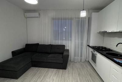 Apartament cu 2 camere decomandat în Turnișor - 5