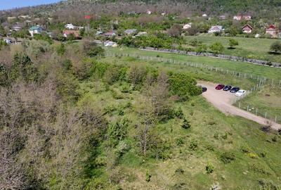 Teren de Vanzare 850 mp | Petrarie Burnova | Zona Ve - 6