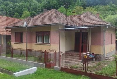 Casă cu 4 camere cu Teren 3745 Mp în Nădrag - 9