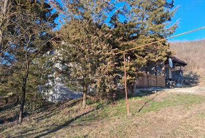 Casă cu Teren 1700 Mp în Săbed - 9