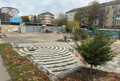 Spațiu comercial, în Lipovei - 1