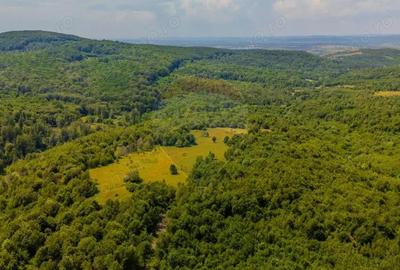 COMISION 0% Teren 1020mp / Intravilan/PUZ/ Grid - 7