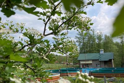 Vand Ferma Piscicola. Afacere la cheie Vand Ferma Piscicola. Afacere la cheie - 3