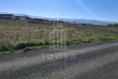 Teren de 2184 mp, în Turnișor - 13