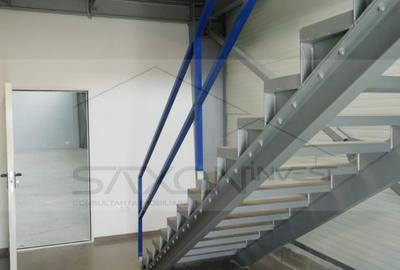 Hala depozitare sau productie   Drumul intre Tarlale,  600MP - 15