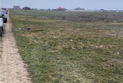 Teren de 1000 mp, în Livada de Bihor