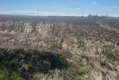TEREN INTRE LES SI PAUSA TEREN INTRE LES SI PAUSA - 1