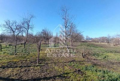 Casă cu Teren 2158 Mp în Freidorf