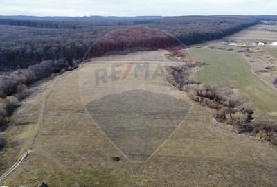 Teren 2925 mp comuna Mitocu Dragomirnei - 6