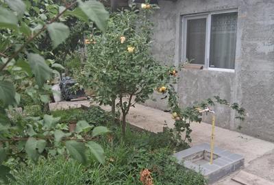 Casă cu 2 camere în Central - 3
