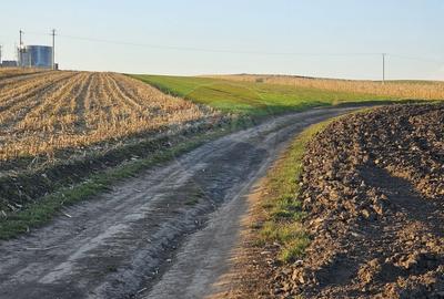 Teren agricol extravilan de 30077 mp, în Stroiești - 16