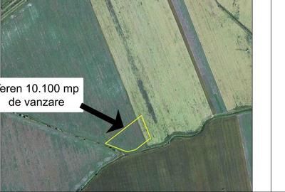 Teren cu deschidere 82 metri, intravilan, Dimieni/ Ilfov - 3