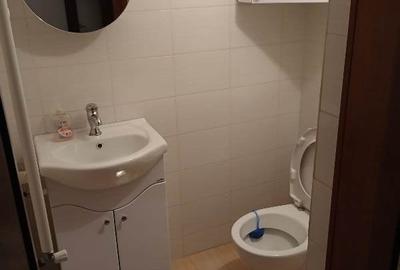 Inchiriere Vila individuala Berceni-Giurgiului - 37