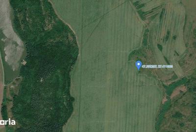 Teren de 15900 mp, în Probota - 9