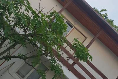Casă cu Teren 1000 Mp în Nord - 3