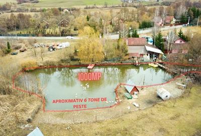 Oportunitate Unică: Teren cu Lac și Cabană în Sovata - 4