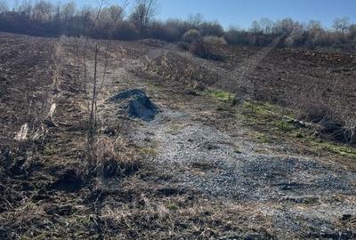 Teren extravilan cu gradina in Saliste - 4