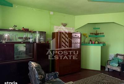 Casă cu 4 camere cu Teren 1522 Mp în Traian Vuia - 10