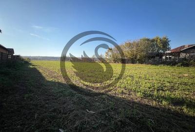 Teren de 12650 mp, în Ghirdoveni - 1