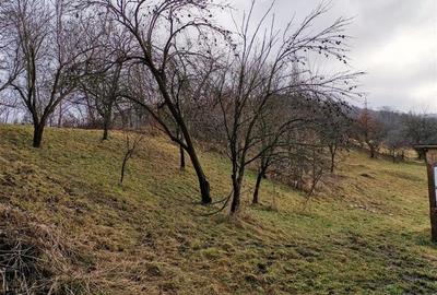 Casă cu 3500 mp Teren, Schitu-Golești, Argeș! - 5