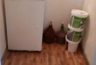 Casă cu 3 camere cu Teren 10000 Mp în Gherteniș - 12