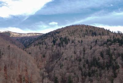 Sinaia, Platou Izvor, Apartament Cu 3 Camere Si 2 Bai! - 2