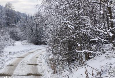 Teren de 22600 mp, în Sucevița - 4