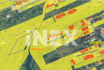 Teren strada Campului TRIVALE | 5.500 mp | iDEAL Dezvoltare - 1