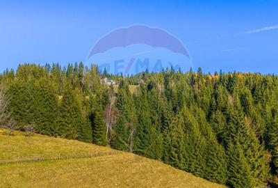 Teren Construcții intravilan de 13800 mp, în Fundățica - 17