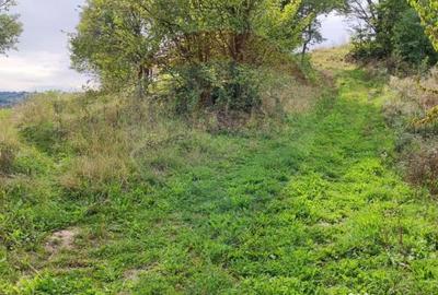 Teren de 3082 mp, în Damiș - 12