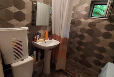 Apartament cu 2 camere semidecomandat în Rahova - 12