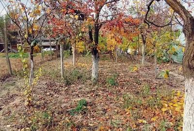 De vanzare casa de caramida ,aproape de centrul Orasului Recas - 7