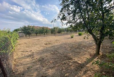 Teren în Moara Domnească - 4