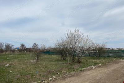 Teren de 937 mp, în Tamași - 3
