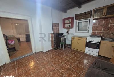 Casă cu 2 camere în Vășad - 9