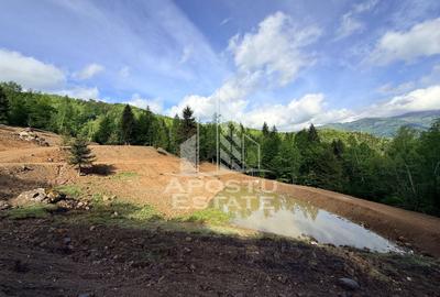 Teren Construcții extravilan de 18000 mp, în Exterior Sud - 55