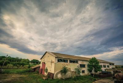 Inchiriere hala pentru depozitare sau productie  – Poarta Alba - 3