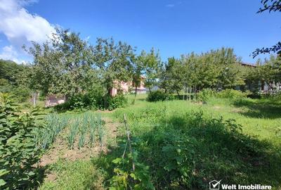 Oaza ta de liniste si verdeata, teren Faget cu parau in curte - 5