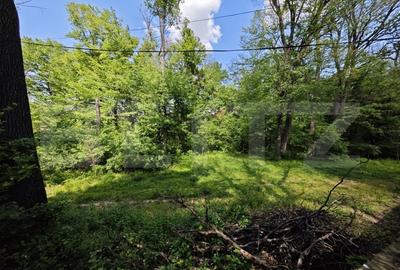 Casuta de vacanta in padure , zona Barnova - 7