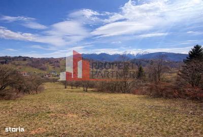 Casă cu 3 camere în Șimon - 8