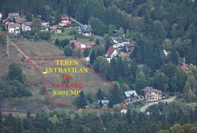 VANZARE TEREN INTRAVILAN SINAIA-CUMPATU Strada Zamora-9.801 mp-Comision 0% - 24