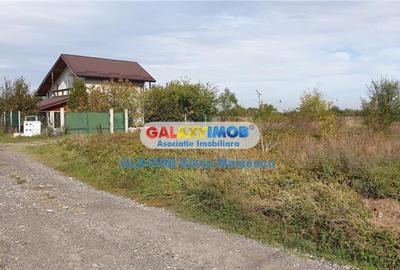 Teren de 2500 mp, în Ciorogârla - 8