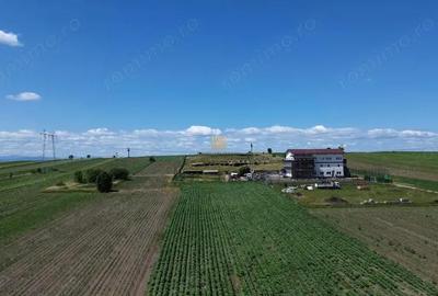 Teren de 36977 mp, în Central - 11