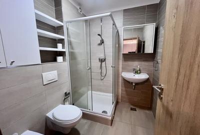 Studio modern in Grandis, Tractorul - 10