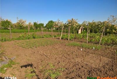 Casă cu 4 camere cu Teren 1464 Mp în Horlești - 11