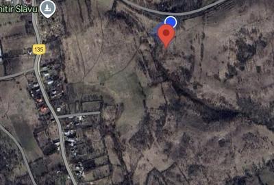 Teren de 6352 mp, în Păcureți - 1