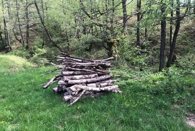 Teren Zona Turistica Transalpina - Pestera Muierilor 9.746 mp - 8