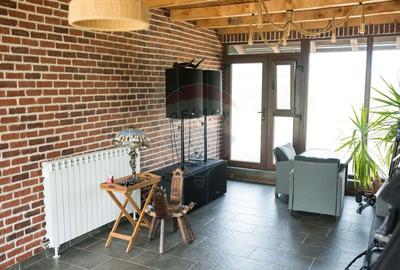 Teren 9.4 ha extravilan + casa 230 mp - 10